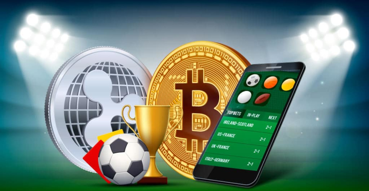 Discover the Best Sportsbook Loyalty Programs for Players