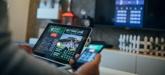 Explore the World of Casino Games with Live Chat