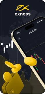 Understanding Exness Forex Accounts for Optimal Trading Performance