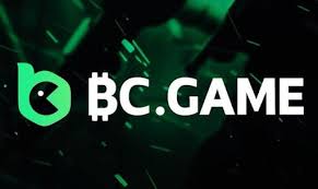 Exploring the Exciting World of Hash BC.Game 19